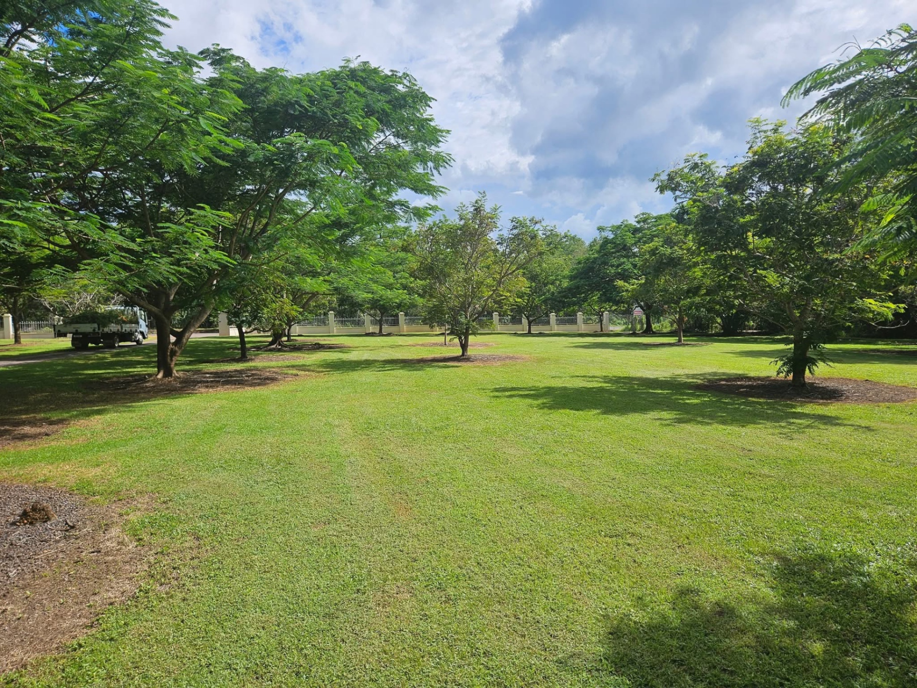 Large shaded acreage block mowed under poinciana trees